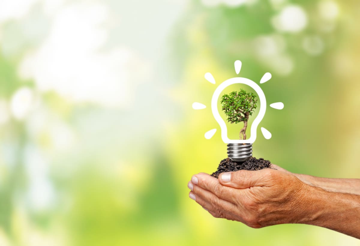 A hand holding a lightbulb with a tree in it