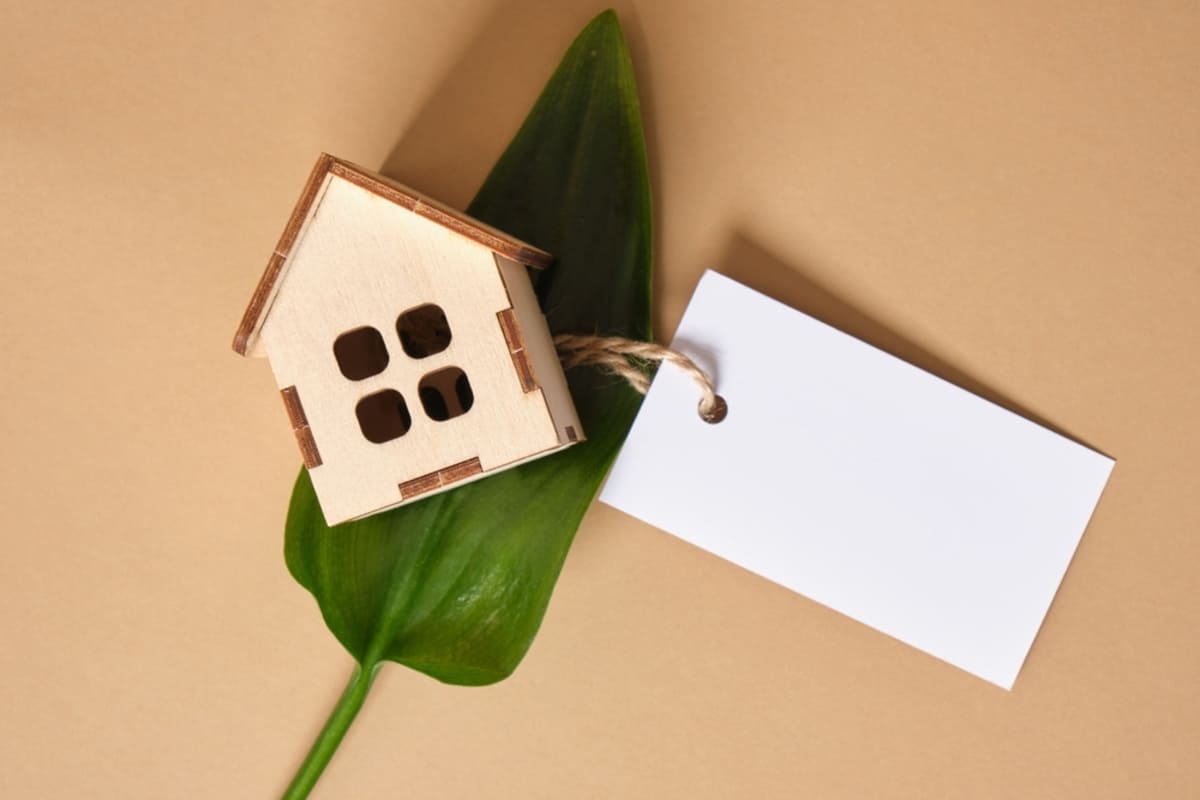  A home lying on a green leaf